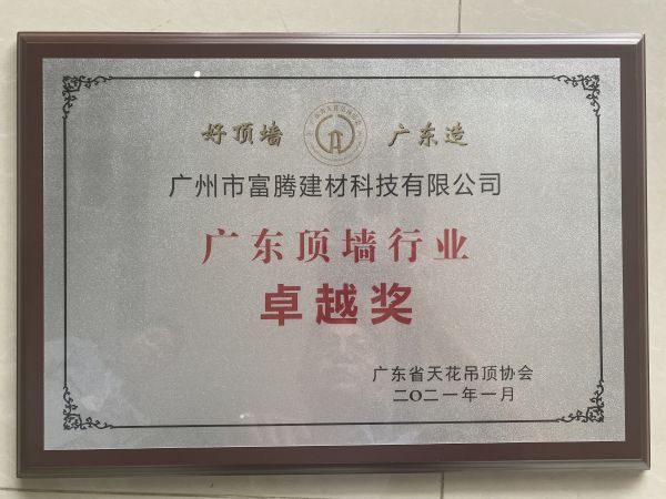 廣東頂墻卓越獎(jiǎng)